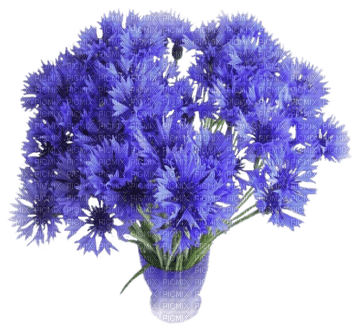 Kaz_Creations Vase Flowers Blue - gratis png