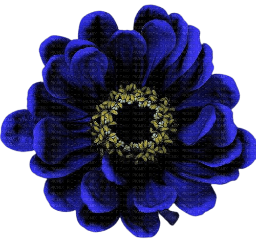 fleur bleue - zdarma png