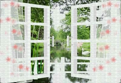 finestra - Darmowy animowany GIF