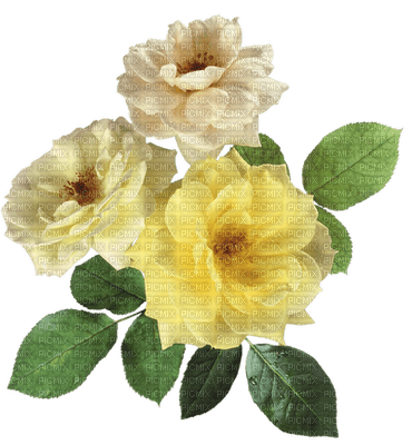 fleur jaune.Cheyenne63 - Free PNG