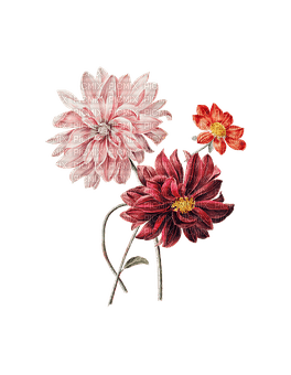 kikkapink red orange pink spring flowers - PNG gratuit
