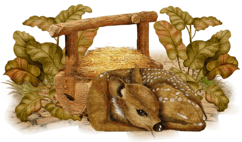 Autumn. Deer. Leila - безплатен png