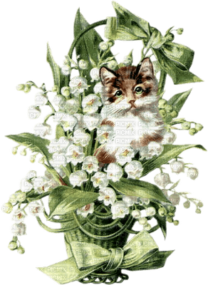 flowers lily of the valley bp - PNG gratuit