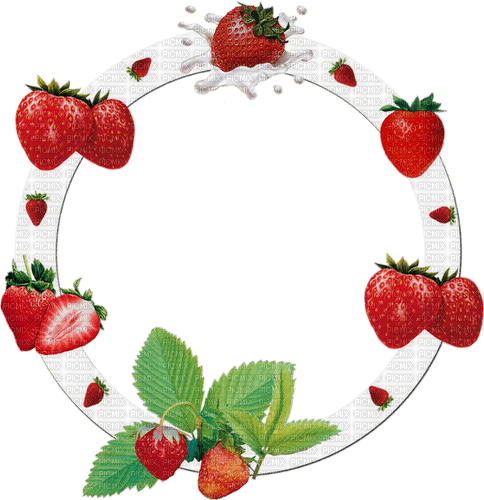 Strawberry Circle - gratis png
