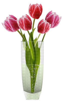 vase with tulips - ücretsiz png