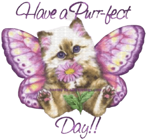 Purr-fect day - 無料png