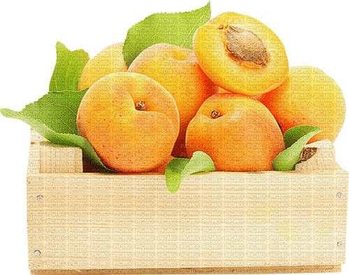 apricot Bb2 - png grátis