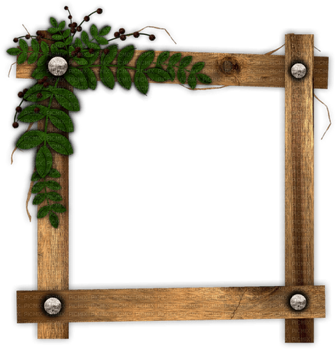 Frame Wood and Plant - gratis png