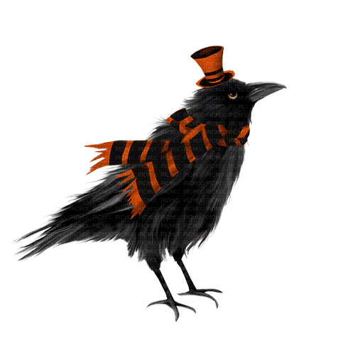Cuervo en otoño - png grátis