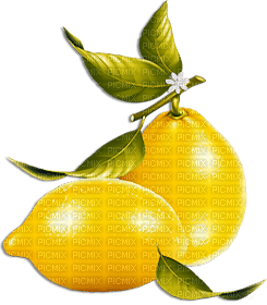 soave deco lemon  fruit summer  yellow   green - PNG gratuit
