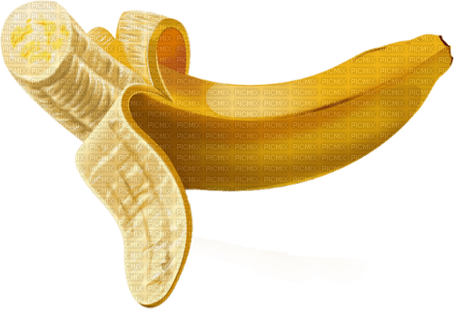 Fruit. Bananas. Leila - png gratuito