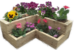 Blumenkasten - kostenlos png