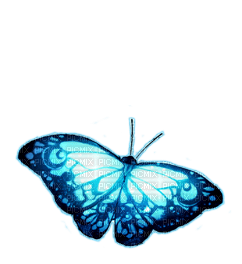 ✶ Butterfly {by Merishy} ✶ - 免费PNG
