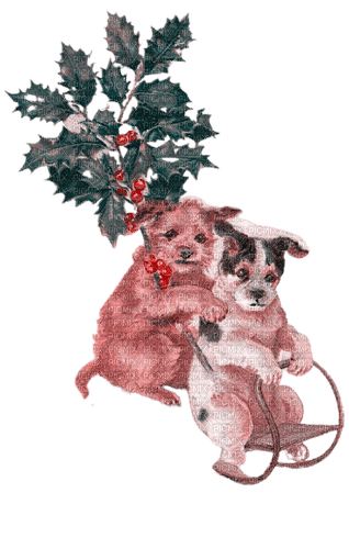 kikkapink dog vintage christmas - 無料png