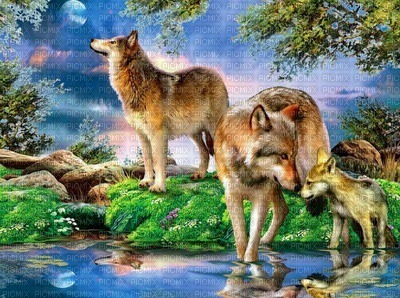 wolves Nitsa Papacon - bezmaksas png