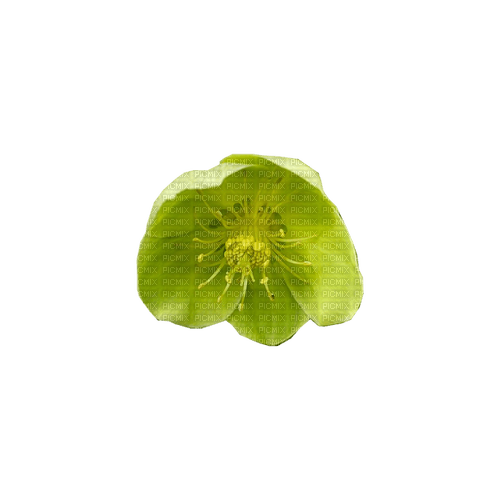 kikkapink deco scrap green  flower - 免费PNG