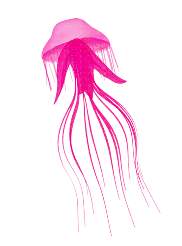 Jellyfish.Pink - besplatni png