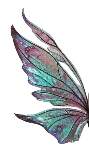 aile papillon - бесплатно png