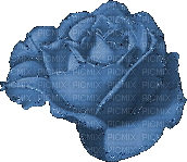 Blumen/Flowers - Ingyenes animált GIF