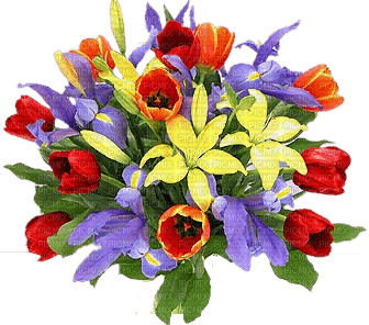 Kaz_Creations Deco Flower Flowers Colours - 免费PNG