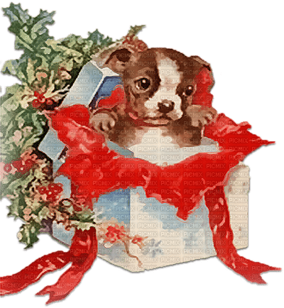 soave animals dog christmas winter blue brown - бесплатно png