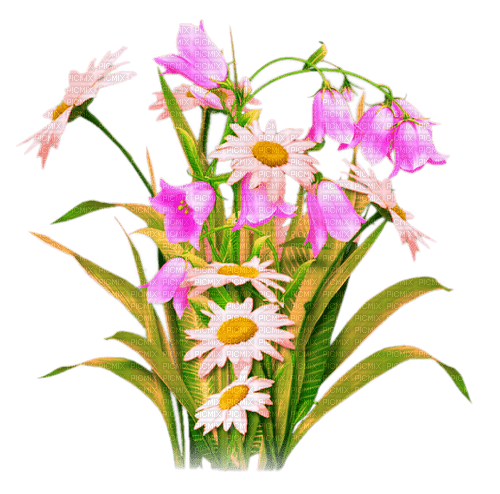 Flowers.Pink.White.Yellow - δωρεάν png