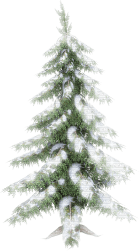 Winter.Hiver.Arbre.Tree.Pine.Victoriabea - PNG gratuit