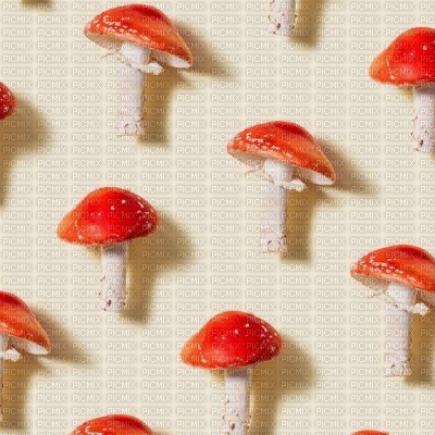 Mushroom Background - 免费PNG