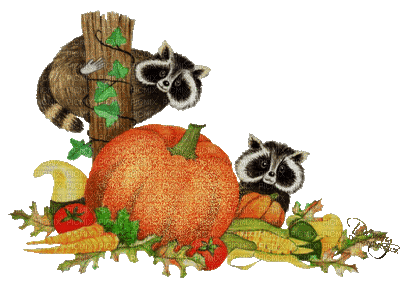 pumpkin katrin - Ingyenes animált GIF