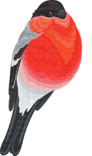 Tournesol94 oiseau - 免费PNG