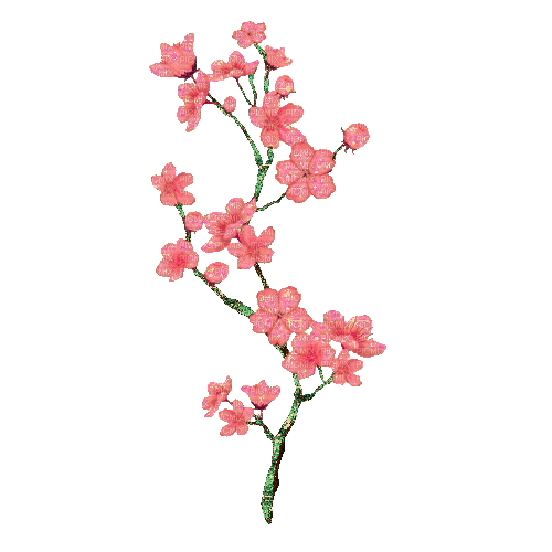 spring blossom - GIF animado gratis