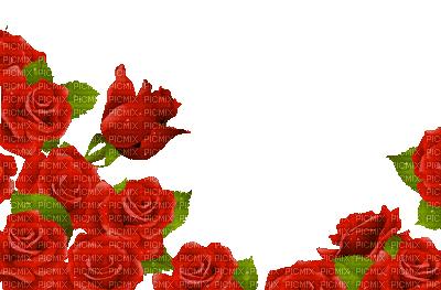 Red Roses - GIF animate gratis