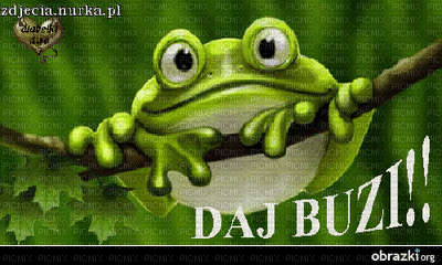 żabka - Ingyenes animált GIF
