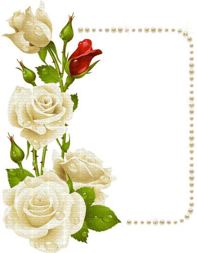 Roses frame - bezmaksas png