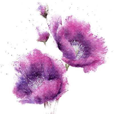 Fleurs mauves.Miriella - PNG gratuit