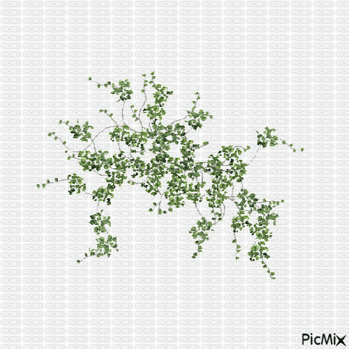 cây lá a - 無料のアニメーション GIF
