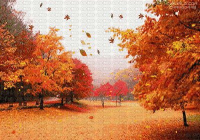 MMarcia gif fond  paysage  automne fundo - 無料のアニメーション GIF