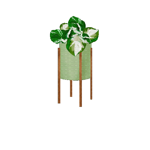 Vaso de planta - Animovaný GIF zadarmo