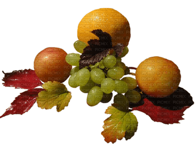 Tournesol94 fruit - png ฟรี