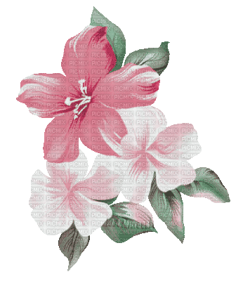 Y.A.M._Summer flowers - GIF animado gratis
