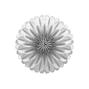 ani-flash-blomma-deco - Δωρεάν κινούμενο GIF