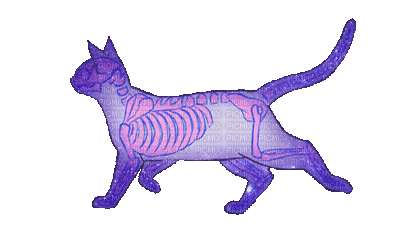 neon - Darmowy animowany GIF
