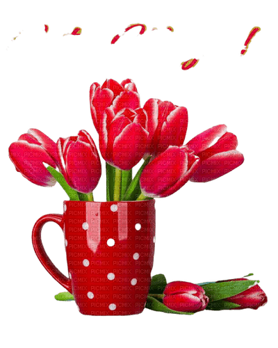 flower,tulip.cup - zdarma png