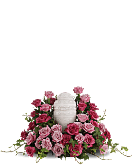 Kaz_Creations Deco Flowers Vase Colours Plant Sympathy - png gratuito