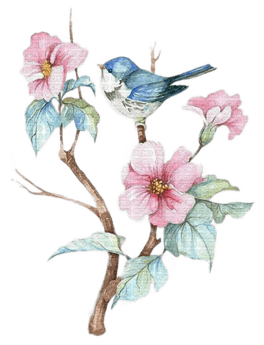 Vogel, Blaumeise, Blumen, Frühling, Aquarelle - PNG gratuit