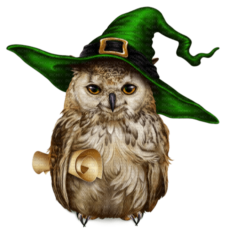 OWL - Bird - nemokama png