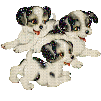 trois chiots - Free animated GIF