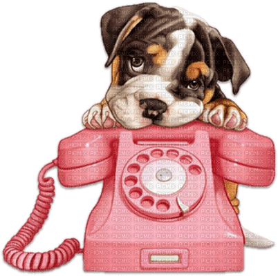 soave dog phone deco pink brown - gratis png