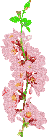 glitter flower - GIF animado gratis