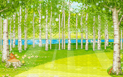 Paysages foret - Ücretsiz animasyonlu GIF